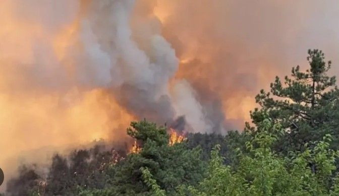 Akhisar'da alevler bir köye daha sıçradı - Resim: 3