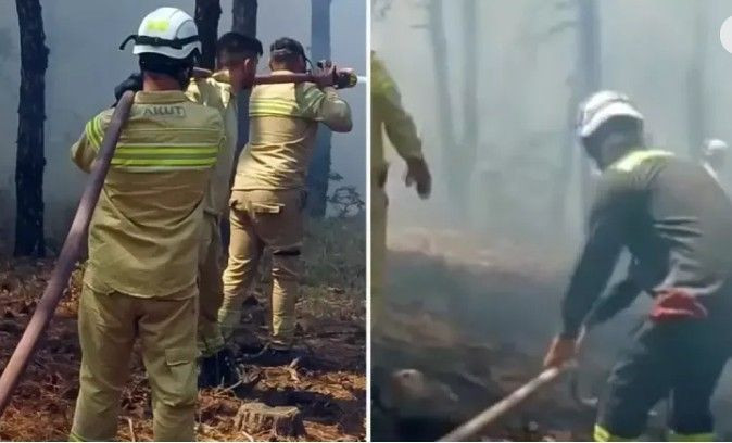 Şehit düşen orman işçisinin "Maaş" mesajı - Resim: 3