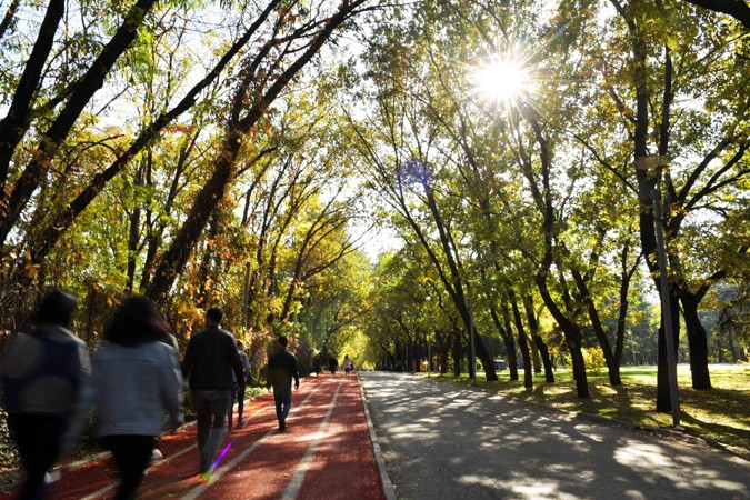 Ankara’da sonbahar bir başka güzel - Resim: 11