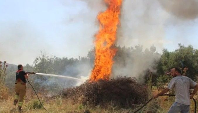 Akhisar'da alevler bir köye daha sıçradı - Resim: 5