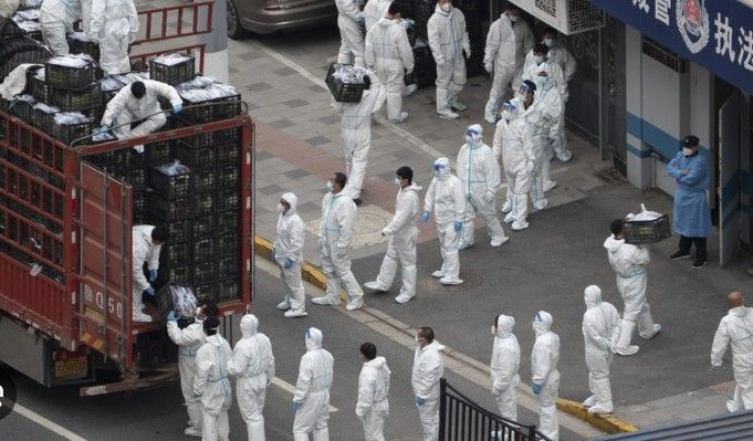 Çin'de yeni salgın başladı hızla yayılıyor! - Resim: 2