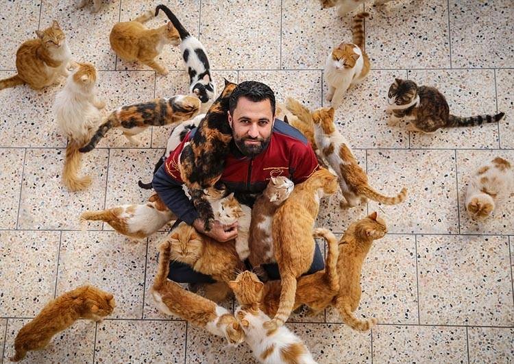 Uluslararası Kedi Günü'ne damga vuran kareler - Resim: 12