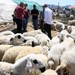 8 Haziran’da Ankara ve Türkiye'de neler yaşandı? İşte öne çıkan başlıklar