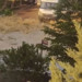Ankara'da bir şahıs kendini ağaca asarak intihar etti!
