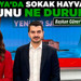 Çankaya'da sokak hayvanları sorunu ne durumda? Başkan Güner'den yeni müjde