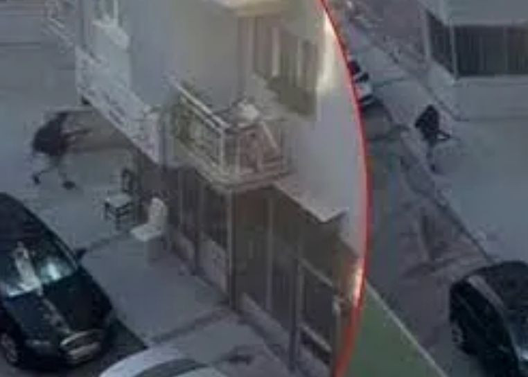 İzmir’deki saldırı: Yeni Gözaltılar Var! - Resim: 6