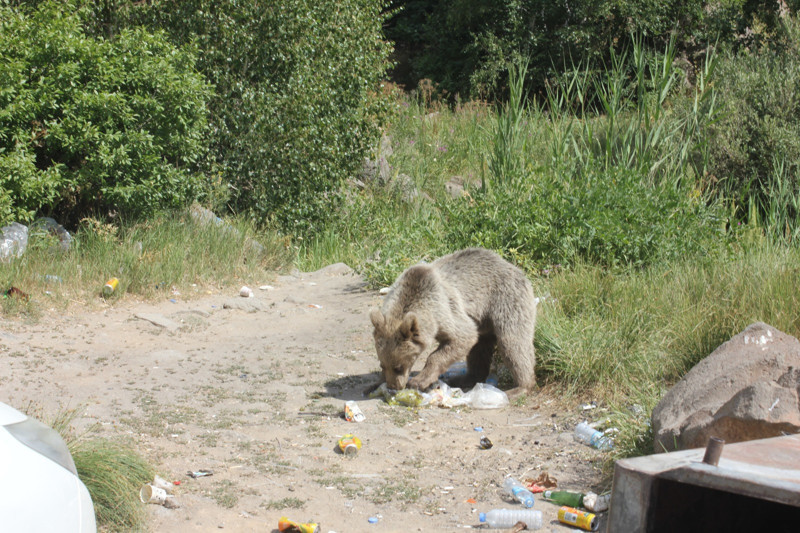 Fotoğraf Esra Sarı