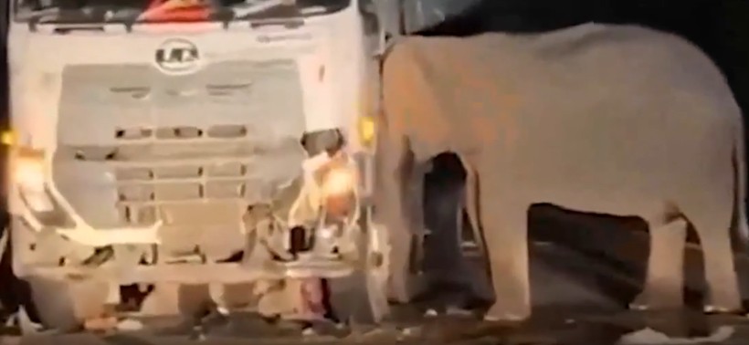 Gecenin karanlığında kahreden görüntü - Resim: 4