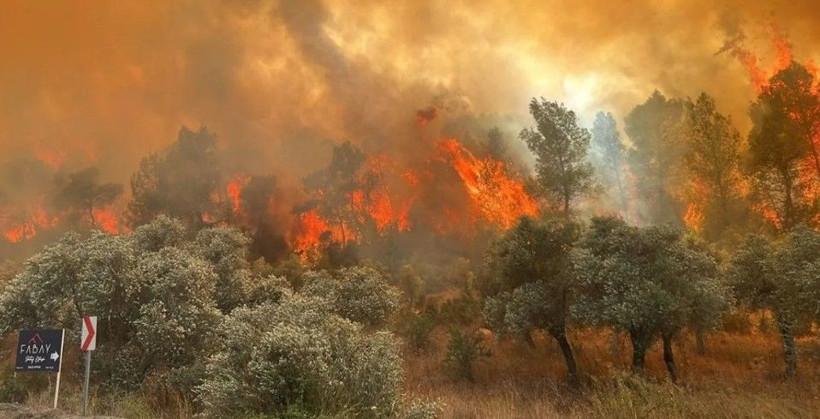 Osmaniye'de yangınla mücadelede acı kayıp - Resim: 1