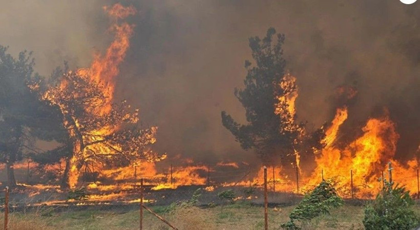 Osmaniye'de yangınla mücadelede acı kayıp - Resim: 3