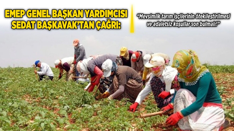 EMEP Genel Başkan Yardımcısı Sedat Başkavak’tan çağrı: “Mevsimlik tarım işçilerinin ötekileştirilmesi ve adaletsiz koşullar son bulmalı!”