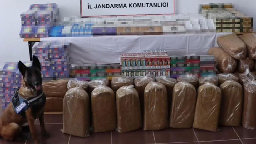 Kırıkkale’de tütün arama köpeği tırda iz sürdü