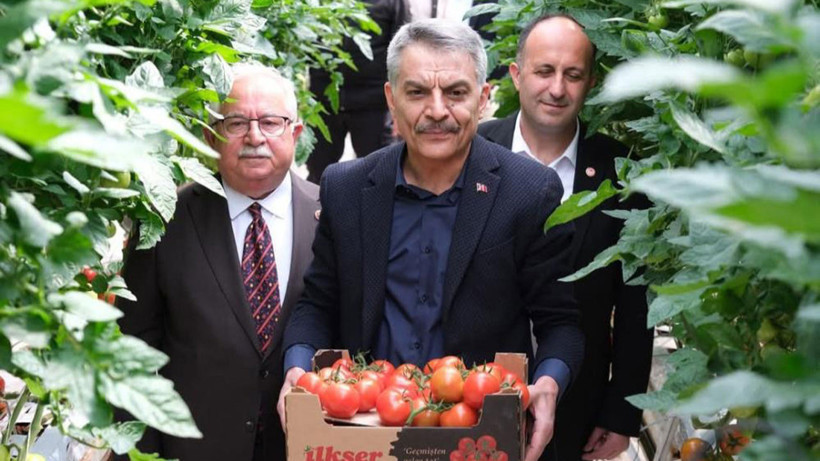 Bozkırın dondurucu soğuğunda hasat zamanı