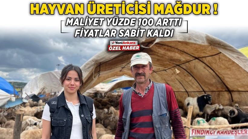 Hayvan üreticisi mağdur! Maliyet yüzde 100 arttı fiyatlar sabit kaldı