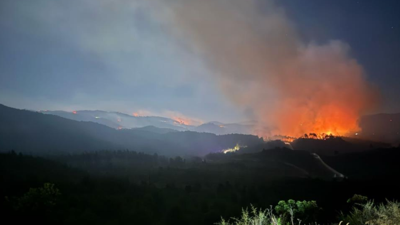 Hatay Yayla Dağı'ndaki yangına AFAD müdahalesi: Havadan ve karadan destek