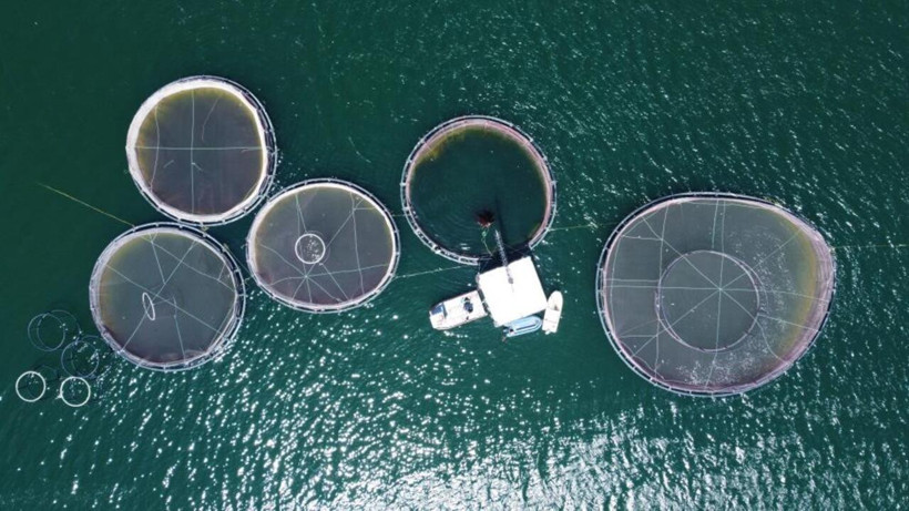 Yozgat’ta bir vatandaş çocukluk hayalini gerçeğe dönüştürdü