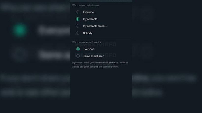 WhatsApp'ta çevrimiçi görünmeden uygulamayı kullanmak mümkün mü? - Resim: 2