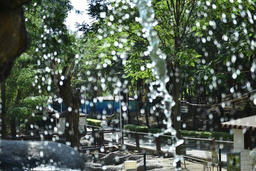 Keçiören Evcil Hayvanlar Parkı’nın Yeni Üyeleri Dünyaya Gözlerini Açtı - Resim: 25