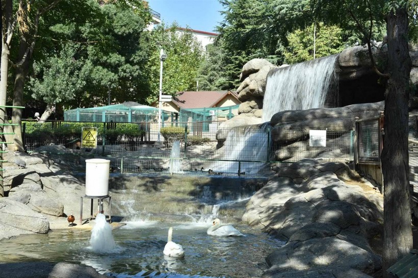 Keçiören Evcil Hayvanlar Parkı’nın Yeni Üyeleri Dünyaya Gözlerini Açtı - Resim: 38
