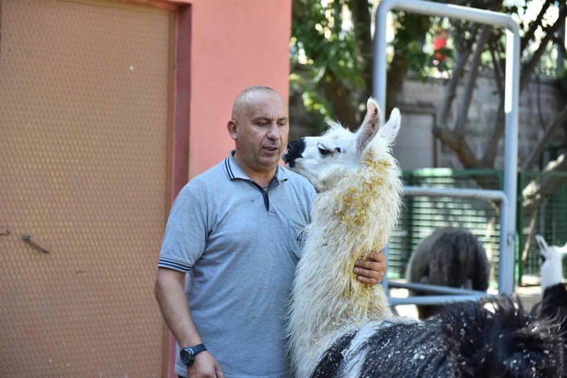Keçiören Evcil Hayvanlar Parkı’nın Yeni Üyeleri Dünyaya Gözlerini Açtı - Resim: 4