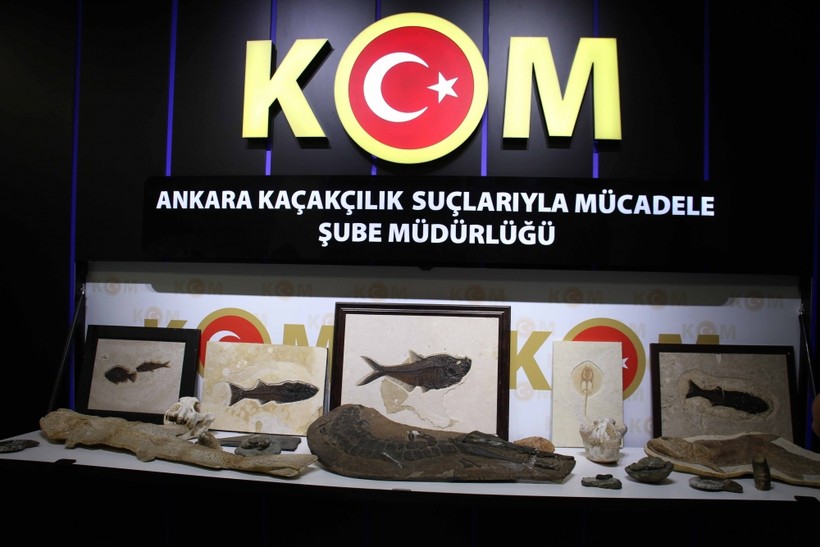 Ankara'da Adnan Oktar örgütüne 10 milyon dolarlık fosil kaçakçılığı oper - Resim: 11