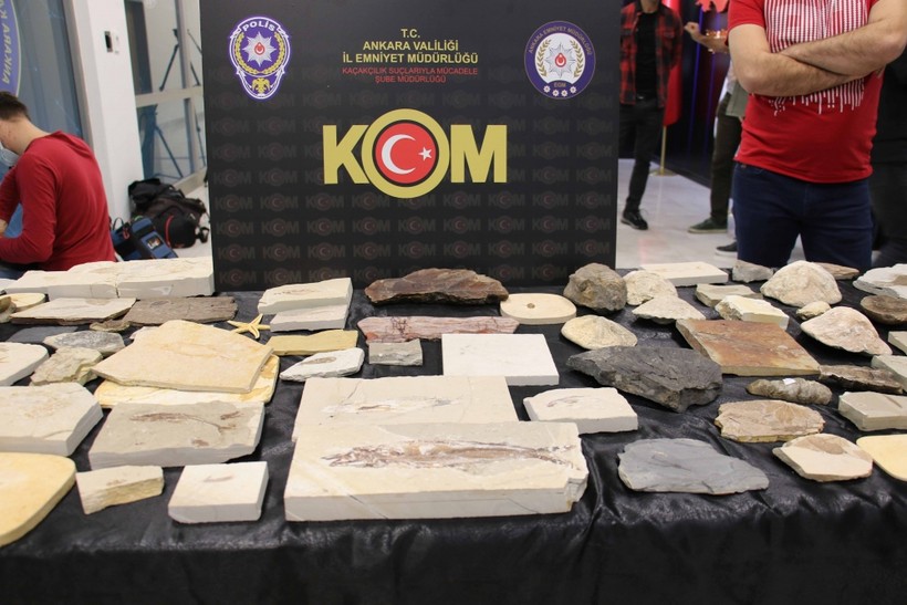 Ankara'da Adnan Oktar örgütüne 10 milyon dolarlık fosil kaçakçılığı oper - Resim: 5