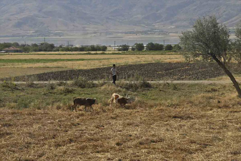 Van Gölü Ekspresi, yolcularına eşsiz manzaralar sunuyor - Resim: 3