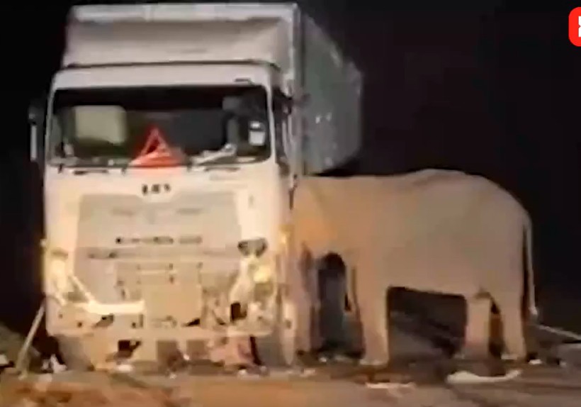 Gecenin karanlığında kahreden görüntü - Resim: 6