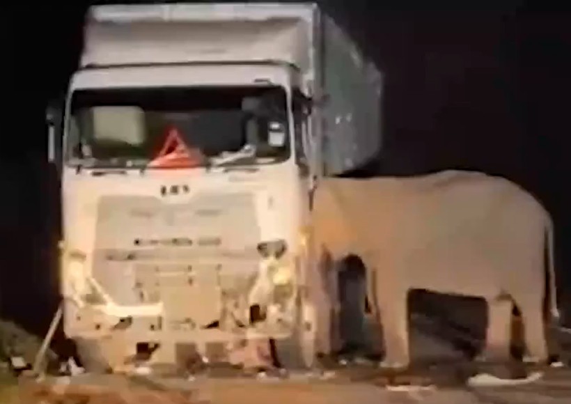 Gecenin karanlığında kahreden görüntü - Resim: 5